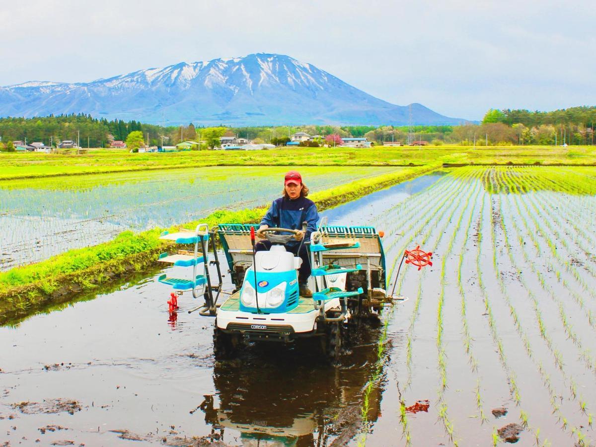 Appi Arts Color * Hachimantai (Iwate)
